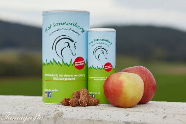 Apfel-Leckerli